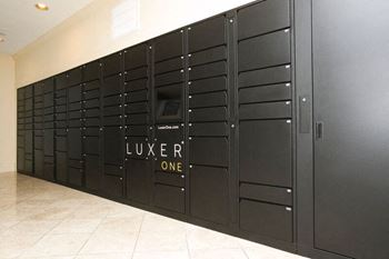 Luxor package locker